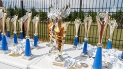 Соревнования по воздушной гимнастике впервые прошли в Кисловодске