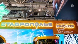 Стенд Ставрополья на выставке в Москве посетили более 92 тыс. человек за неделю