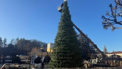 Главную ёлку устанавливают в Кисловодске
