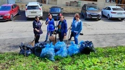Первую весеннюю санитарную пятницу проведут в Кисловодске 29 марта