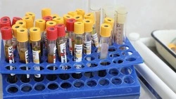Кисловодчане могут сдать кровь или плазму 13 сентября
