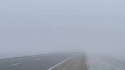Водителей Ставрополья предупреждают о тумане на дорогах края