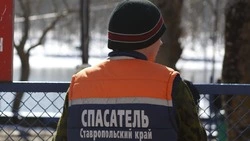 Девушка выпала из окна пятого этажа в Кисловодске