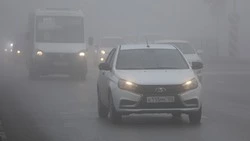 Высокая пожароопасность прогнозируется на Ставрополье 13 ноября