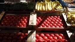 Продовольственная ярмарка пройдёт в Кисловодске 27 января