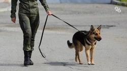 В Кисловодске нашли подозрительный предмет, похожий на гранату