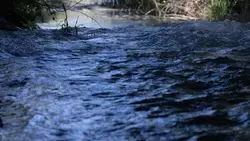 Уровень воды в Эшкаконском водохранилище поднялся на три метра