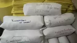 Молодёжь Кисловодска сделала более 670 вещей для бойцов СВО