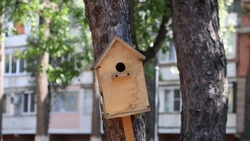 Более 50 брендированных кормушек установили в Кисловодске