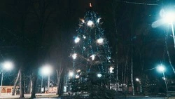 Обращения Путина, Владимирова и Моисеева покажут в Кисловодске в Новый год