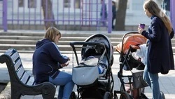 Порядка 294 миллионов рублей президентских выплат получили будущие мамы Ставрополья 