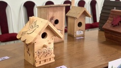 Жители Кисловодска изготовили 153 скворечника на городской конкурс