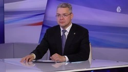 Губернатор Владимиров поручил разработать ежегодный план подготовки к жаре