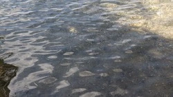 Городское озеро благоустроят в Кисловодске