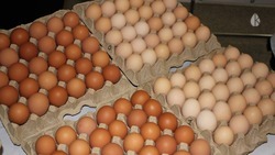 Жителей и гостей приглашают на продовольственную ярмарку в Кисловодске