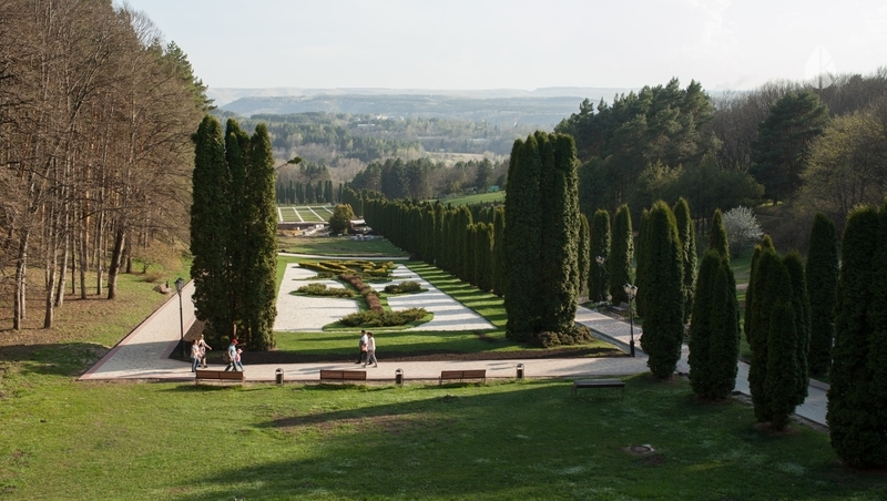 Более тысячи новых саженцев высадили в Долине роз Кисловодска
