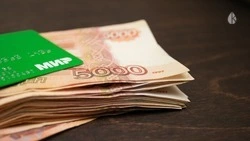 «Союзмультфильм» просит 30 тыс. с кисловодчанки за нарушение исключительных прав