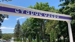 Благотворительный пикник для ребят из детских домов провели в Кисловодске