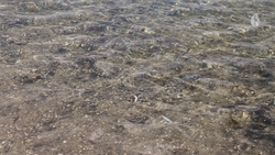 Новое озеро восстановят в Кисловодске