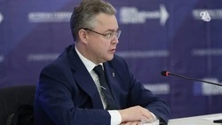 Владимир Владимиров: «Движение первых» станет важной стартовой площадкой для ставропольской молодёжи 