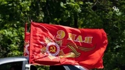 В Кисловодске остановки украсили тематическими панно «Город-госпиталь» к 9 Мая