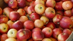 Более 570 точек нелегальной торговли закрыли в Кисловодске