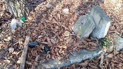 Власти Кисловодска обещают убрать центральное кладбище после жалоб горожанина