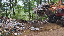 Свалку за городской больницей ликвидировали в Кисловодске