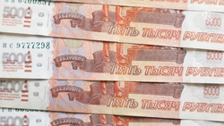 Кисловодчанина осудили за кражу миллиона рублей у дяди — участника СВО