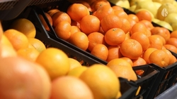 Продуктовая ярмарка пройдёт в Кисловодске 27 сентября