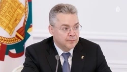 Губернатор Ставрополья дал оценку ситуации с бесхозными животными на Кавминводах