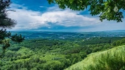 Губернатор Ставрополья поручил проработать природоохранное законодательство для развития Кисловодска