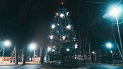 Более 600 детей посетили новогоднюю ёлку главы Кисловодска