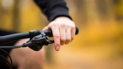 День физкультурника отпразднуют 10 августа в Кисловодске