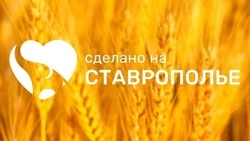 На маркетплейсе появился раздел «Сделано на Ставрополье» для местных товаров