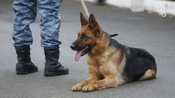 Две школы проверяют в связи с угрозой минирования в Кисловодске 