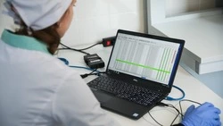 Исследователи создают на Ставрополье более продуктивную породу овец