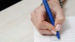 МФЦ Ставрополья ежегодно посещают до двух миллионов заявителей