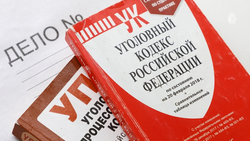 Бастрыкин взял на контроль дело о нападении всадников на прохожих в Кисловодске
