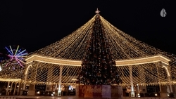 Главную новогоднюю ёлку откроют в Кисловодске 13 декабря  