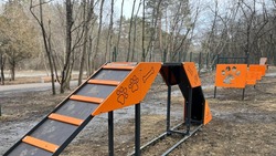 Первую в городе площадку для выгула собак обустроили в Кисловодске 