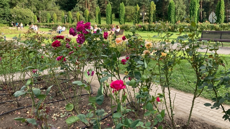 Научно-практическая конференция по заповедному делу прошла в Кисловодске
