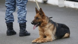 Неизвестные сообщили о возможном минировании санатория в Кисловодске 11 июня