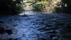 В Кисловодске очистят берега рек и водоёмов на субботниках