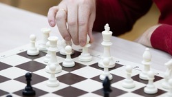 Экспозицию Кисловодска на выставке «Россия» посвятят сложным шахматным этюдам