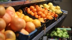 Продовольственная ярмарка пройдёт в Кисловодске 24 декабря