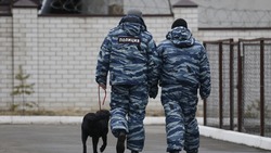 Угрозу о минировании здания администрации проверяют в Кисловодске