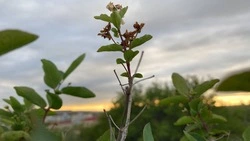 Охранная зона памятника природы «Лермонтовская скала» создана на Ставрополье
