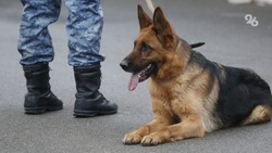 Угрозу минирования больницы и санатория получили в Кисловодске