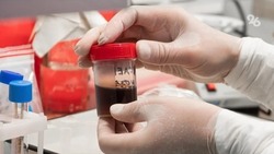 Выездной день донора состоится в Кисловодске 5 июля
